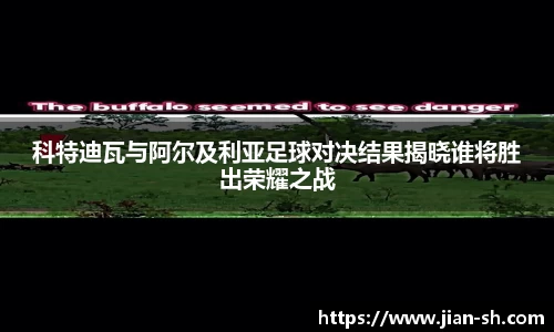星空·综合体育官方网站